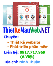 Thiết kế web Việt